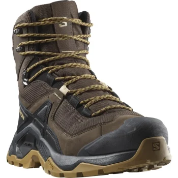 Черевики Salomon Quest Element GTX