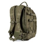 mission olive 6