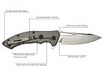 shark1233421-1.webp