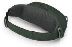 bananka-osprey-daylite-waist-green-beltgreen-canopy.1800x1800w