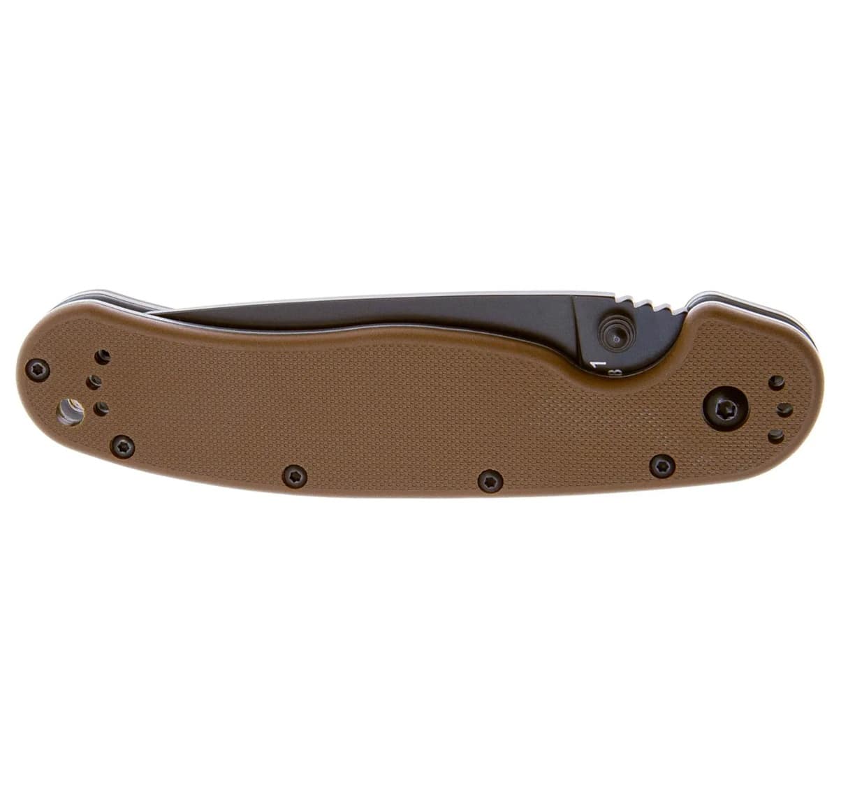 ontario rat I bb 2